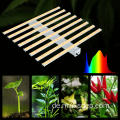 Indoor Full Spectrum White Grow Light Garden Kit